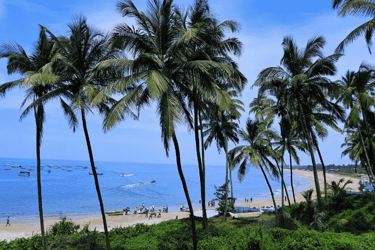 Best Beautiful Beaches in Goa